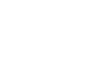 Zara (1)
